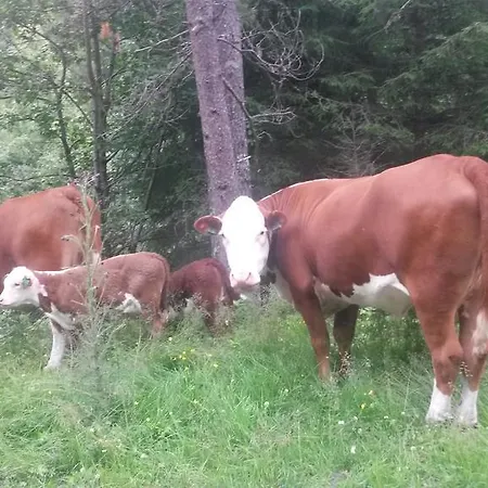 Farmhouse - Steinsvegen Сasa de vacaciones Evanger